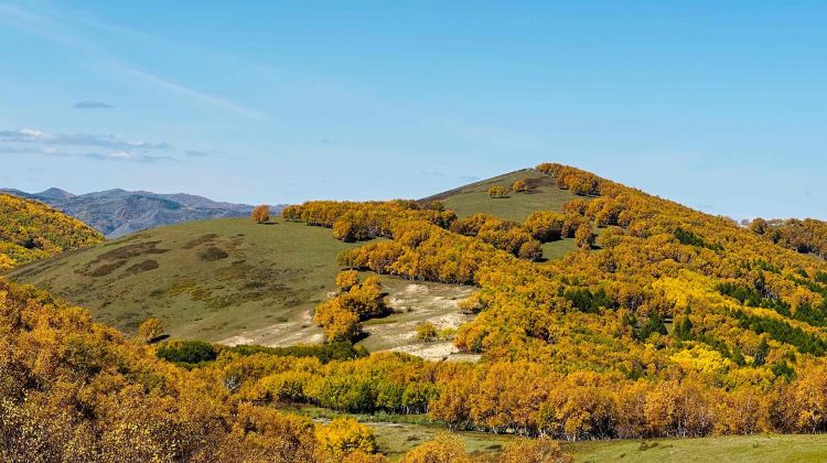 4-day 3-night · Private Tour · China + Inner Mongolia + Chifeng + Wulanbutong Steppe Tourist Area
