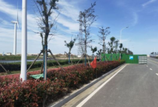 黄金海滩-湿地迷宫景点图片