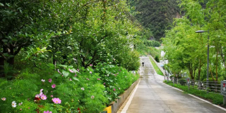 兩河口白瑪營地