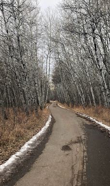 South Glenmore Park-卡尔加里