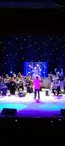 Luts'ka city council