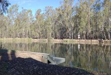 Swifts Creek campground景点图片