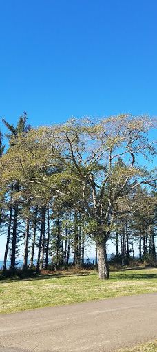 Chinook County Park-太平洋城县