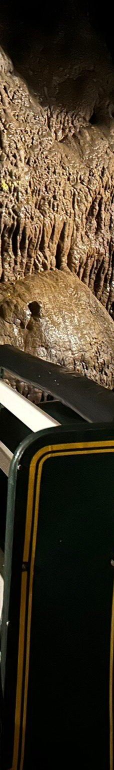 Grottes de Betharram-圣佩德比戈尔