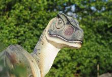 Dino Land Zwolle景点图片