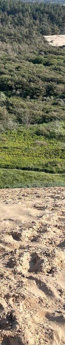 Rubjerg Knude-勒肯