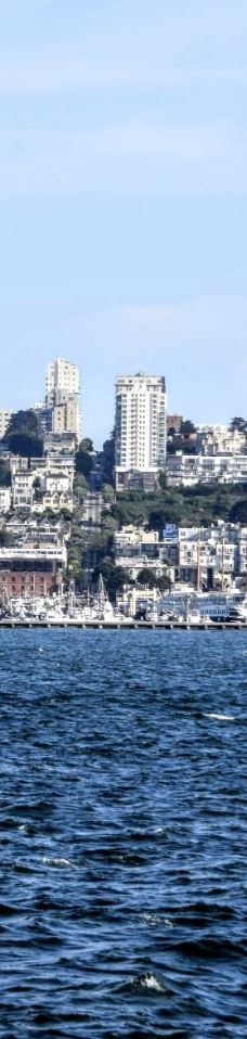 安琪儿岛-蒂伯龙