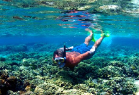 Ocean Frontiers Dive Shop购物图片