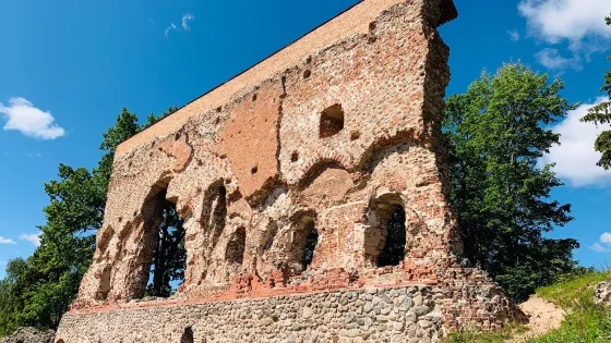 Ruins of the Viljandi Order Castle