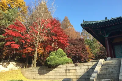 Nakseongdae Park