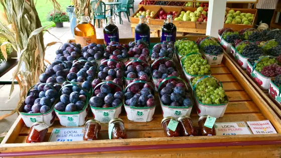 Walker's Country Market