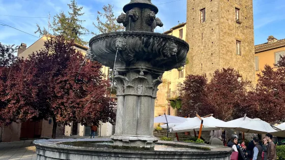 Le Fontane di Viterbo