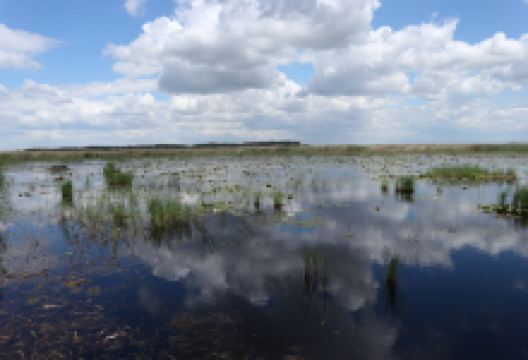 Kiskunsagi Nemzeti Park景点图片
