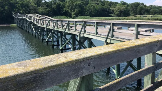 Norman J. Levy Park & Preserve