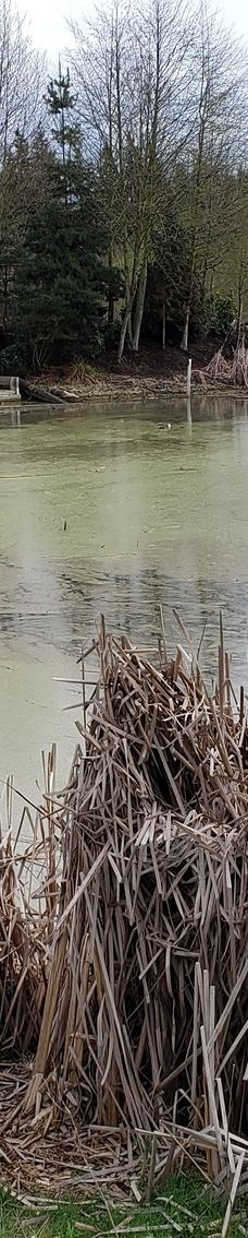 Talking Water Gardens-奥尔巴尼