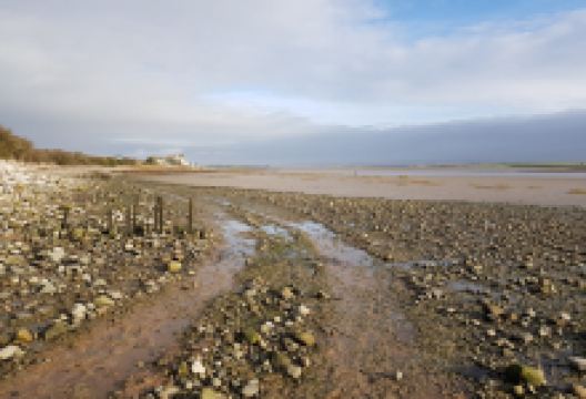 Sambo's Grave景点图片