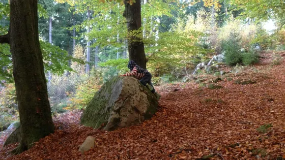 Biskopstorp Naturreservat