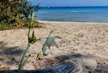 Plage De Pinarello景点图片