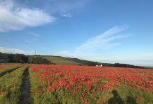 The Trundle (St Roche's Hill)景点图片