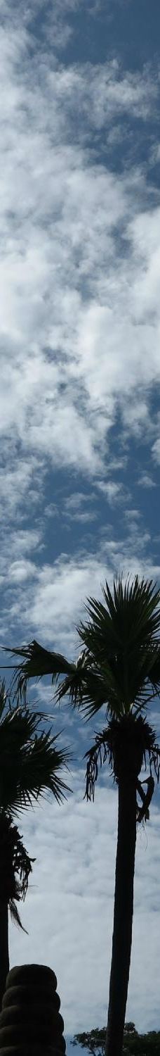 Yadana Hsemee Pagoda-皎施