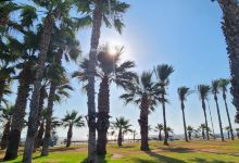 Playa del Pinar景点图片