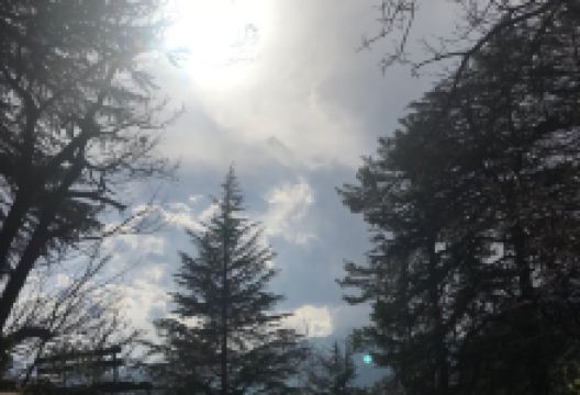The Urusvati Himalayan Research Institute景点图片