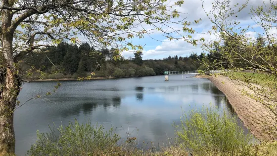 Tottiford Resevoir