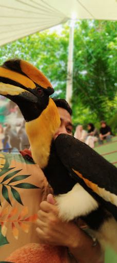 Seal and Penguin Park-宋卡