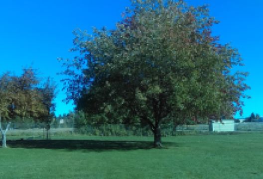 Ekone Park景点图片