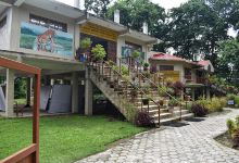 Wildlife Display & Information Center景点图片