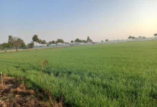 135garden景点图片