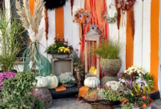 Frank Glende plant paradise GmbH购物图片
