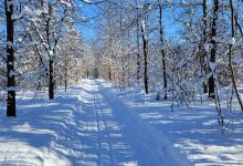 Pigeon Creek Park景点图片