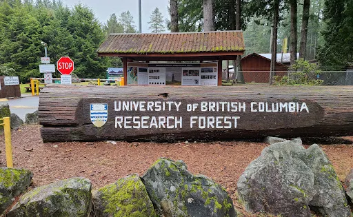 Malcolm Knapp Research Forest