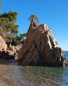 Cala El Golfet-帕拉弗鲁赫尔