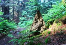 Ťapešovo Trail景点图片