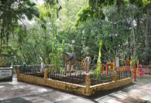 Ecológico Park景点图片