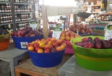 Riva Gardens & Farm Market购物图片