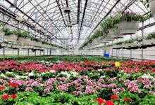 Honkasen Puutarha Oy购物图片