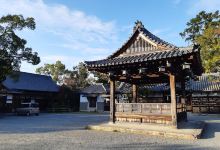 大森神社景点图片