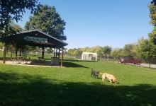 Tiffin Skatepark景点图片
