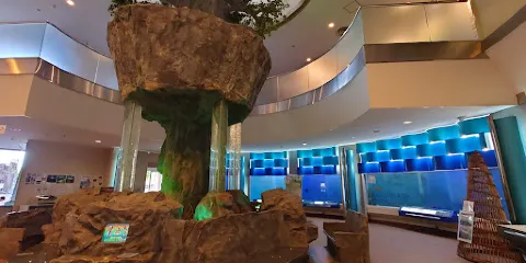 福井県內水面総合センター