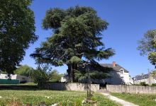 Parc de la Corbillière景点图片