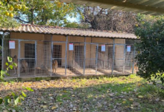 Pet Garden景点图片