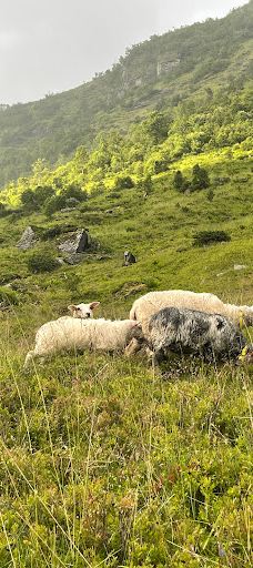 Holedalen-沃塞斯特兰