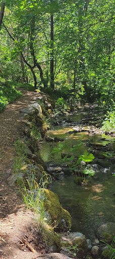 Lithia Park Playground-阿什兰