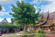 Wat Pa Lan景点图片