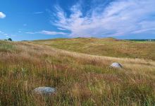 Yellow Bank Hills Scientific and Natural Area景点图片