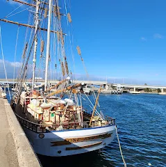 City of Adelaide Clipper Ship