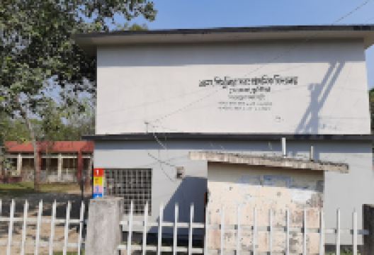 Shimulia School Playground景点图片